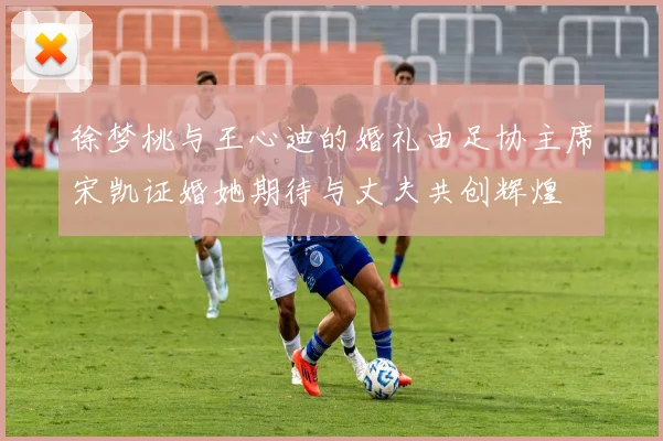 徐梦桃与王心迪的婚礼由足协主席宋凯证婚她期待与丈夫共创辉煌