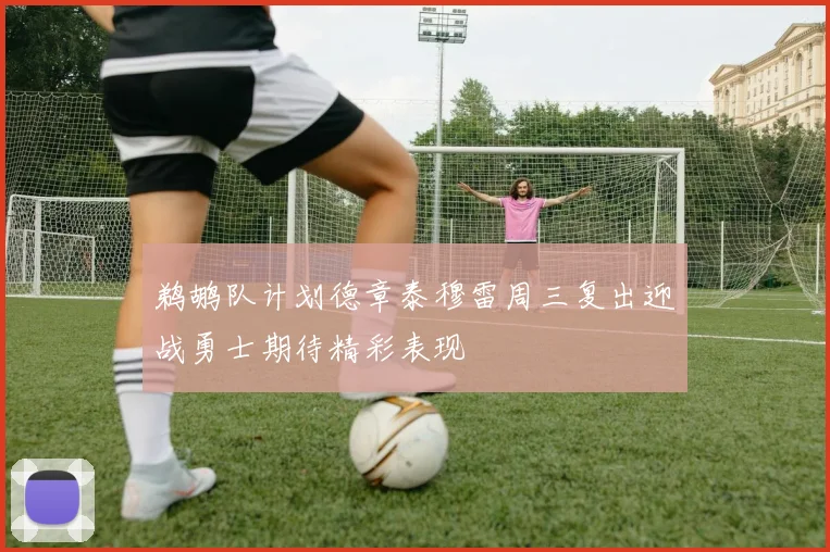鹈鹕队计划德章泰穆雷周三复出迎战勇士期待精彩表现